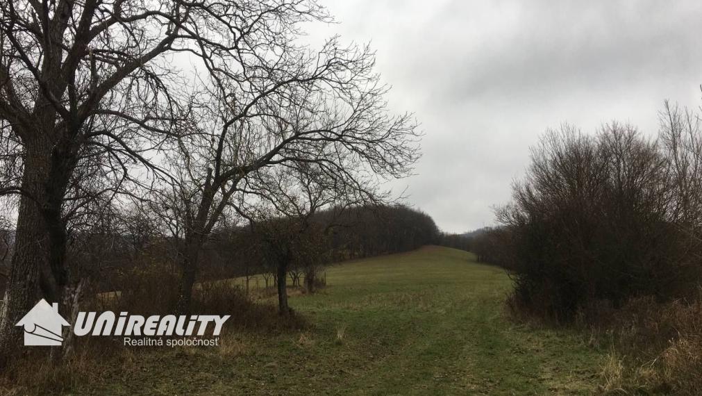 ČIERNA LEHOTA / Rekreačná chata / Tiché prostredie / 192 m2