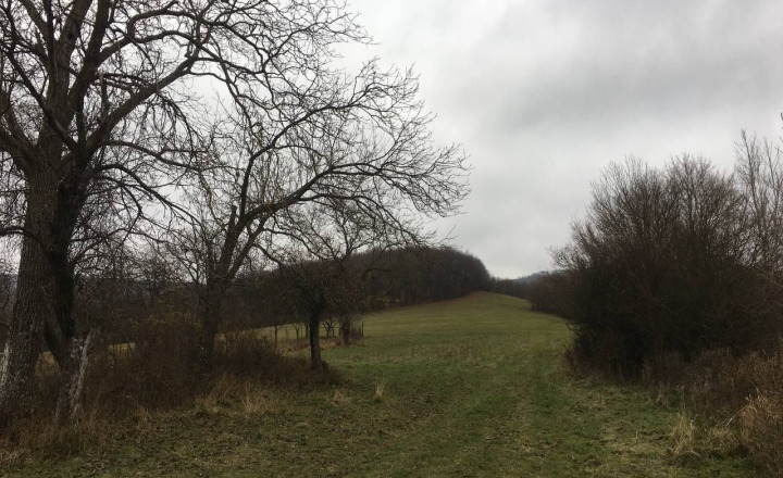 ČIERNA LEHOTA / Rekreačná chata / Tiché prostredie / 192 m2 - fotografia 6